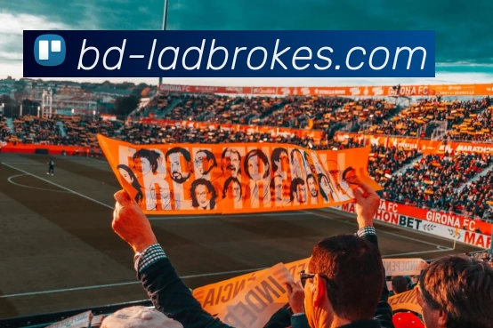 立博体育Ladbrokes外围平台平台生态图