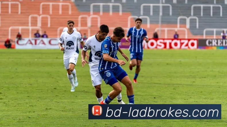 数据防护可视化